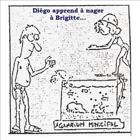 SEL par l'illustration