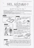 SEL, kézako ?
